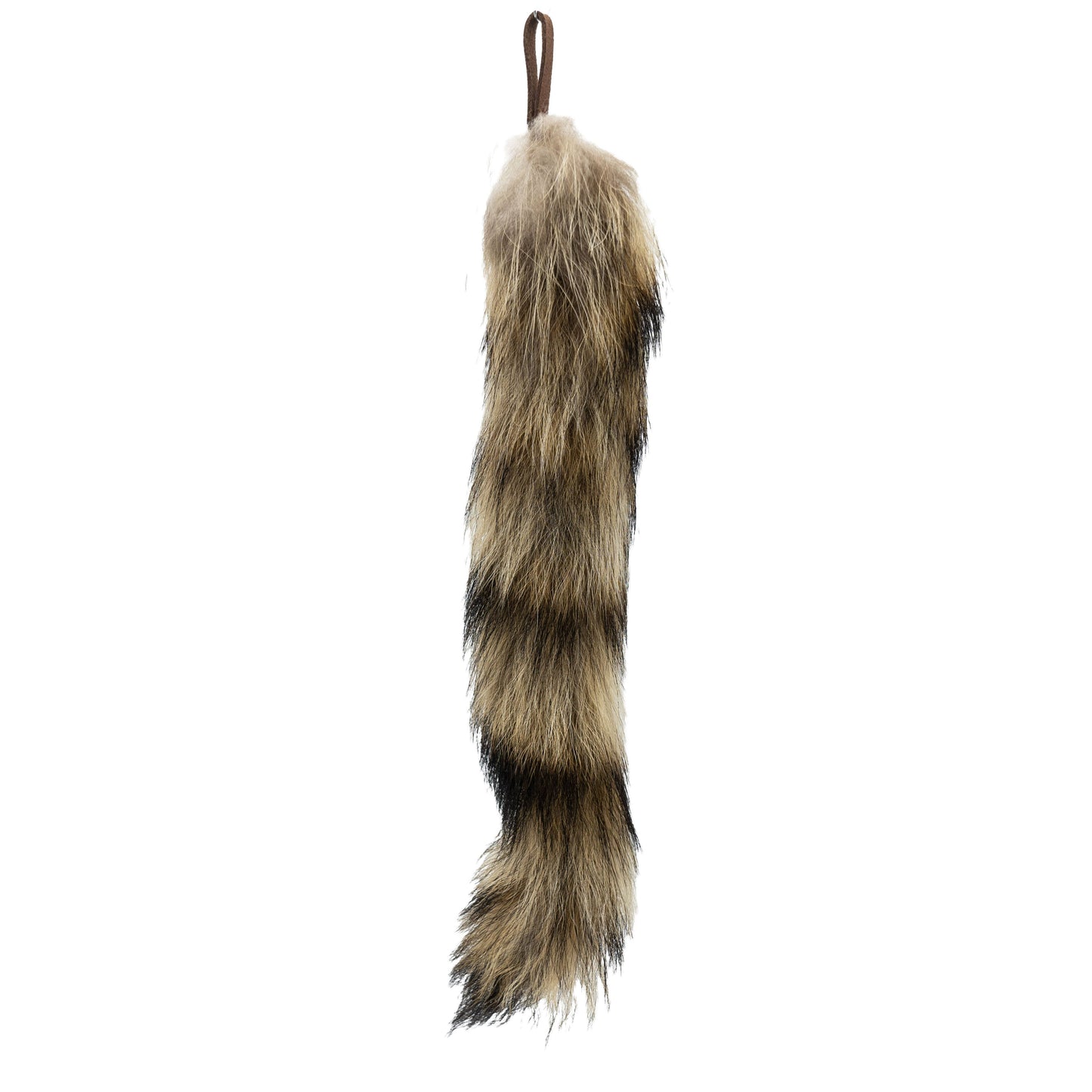 Genuine Coon Tail with Leather Loop