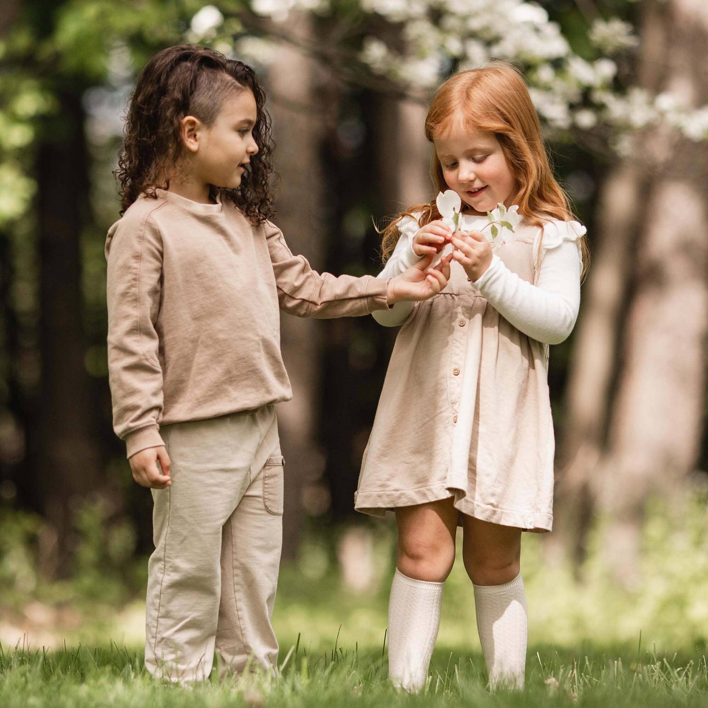 Bee Wings Infant Tee & Dress Set