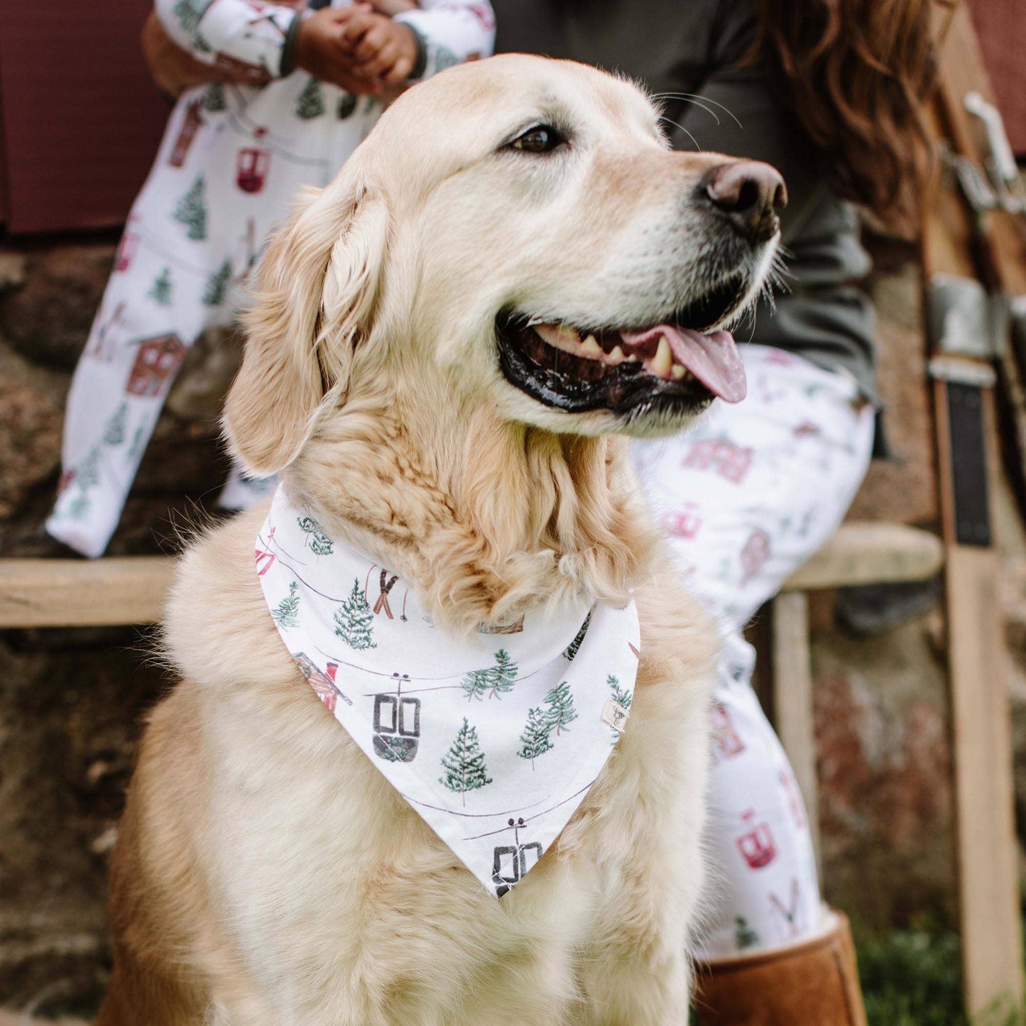 Ski The Alps Matching Family Pajamas