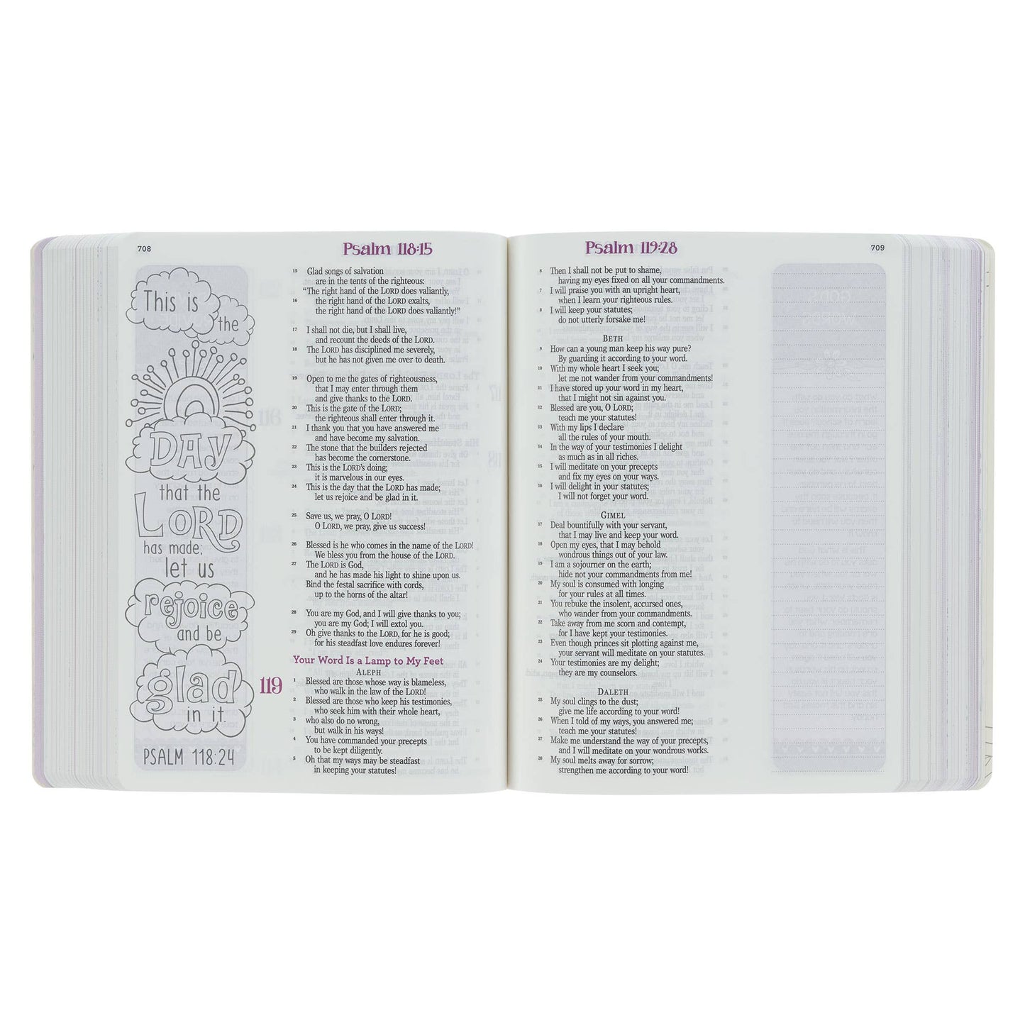 ESV My Creative Bible for Girls Softcover, Pink Floral