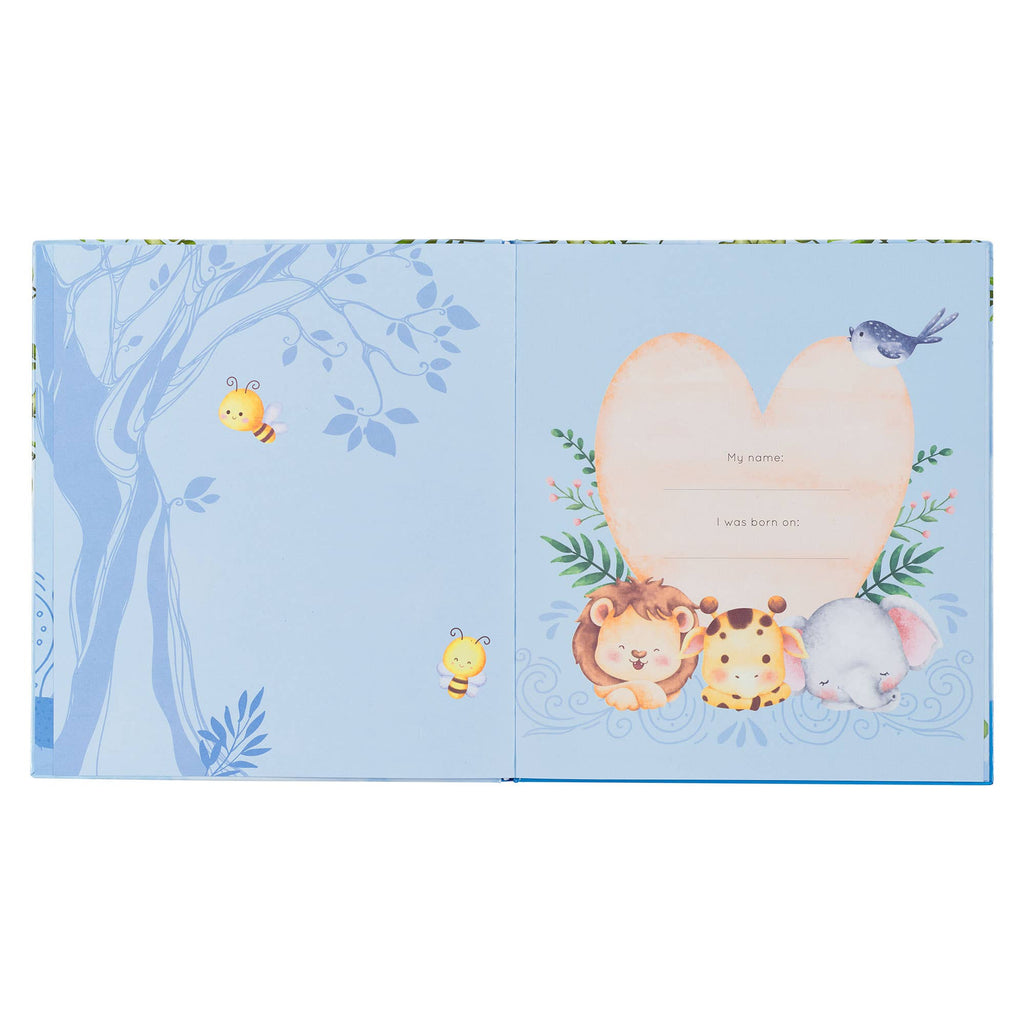Baby Memory Book for Boys